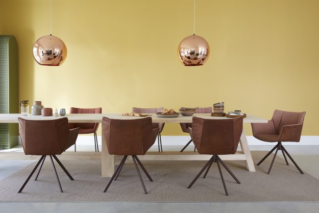 Gustav junior banner