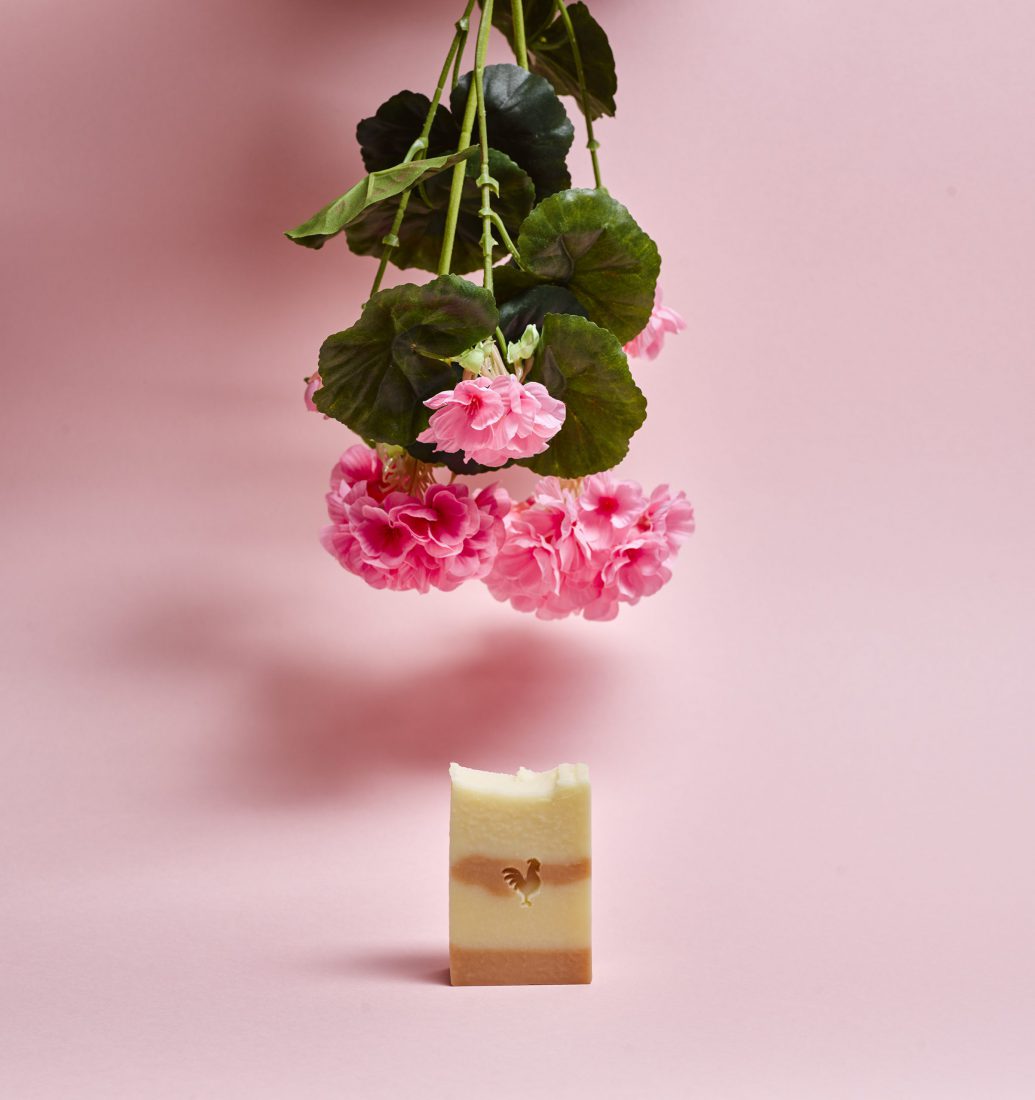 DAY1-GERANIUM-LR